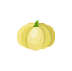 Cute cartoon yellow pumpkin squash, decoration element, cartoon vector illustration isolated on white background. Shiny yellow pumpkin squash, cartoon style vegetable