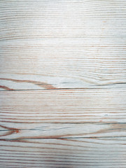 wood grungy background with space for your design