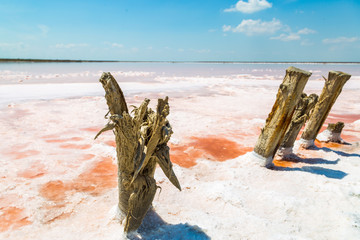 Salt sea water evaporation ponds with pink plankton colour