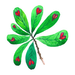 Tropical Hawaii leaves palm tree in a vector style isolated. Aquarelle wild flower for background, texture, wrapper pattern, frame or border.