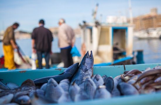 Marché de poissons à Vieux Port Marseille