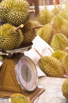 durian on scales at market popular king of fruit for export product