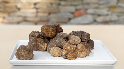 Italian white truffles