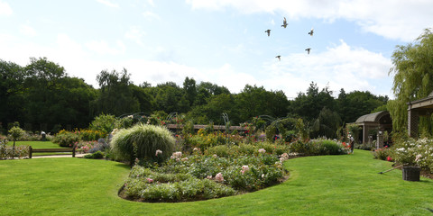 jardin en fleur