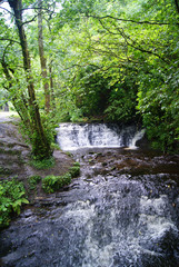 Landschaft um Glencar Waterfall