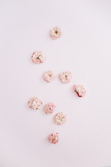 Pink dry roses buds arrangement on pink background. Flat lay, top view. Flowers background.