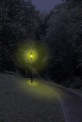 Landschaft um Glencar Waterfall