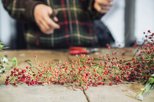 Autumn berries organised on a table blurred person in background