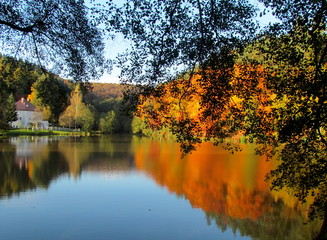 Etang couleur automne