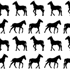 Seamless background with foals silhouettes
