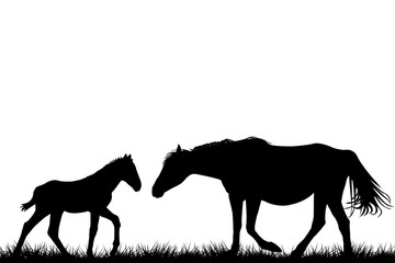 Silhouettes of mare and her foal