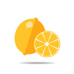 lemon  fruit vector