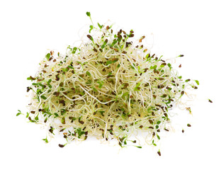 heap of alfalfa sprouts on white background