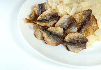 Sticky rice and fried sun-dried fish on plate