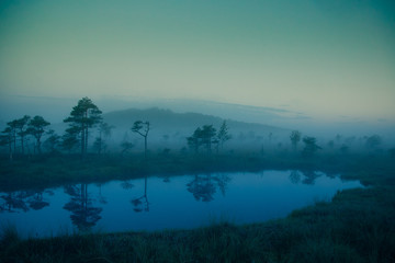 Fototapeta na wymiar A dreamy swamp landscape before the sunrise. Colorful, misty look. Marsh scenery with a lake. Beautiful artistic style photograph.