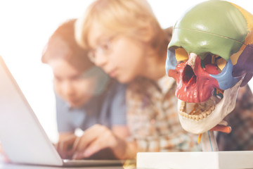 Close up of artificial skull being painted in different colors