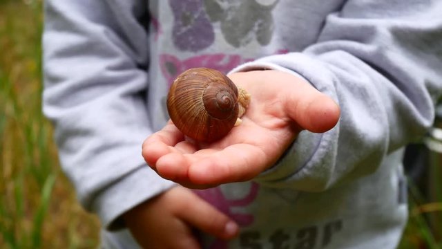 Snail on the hands
