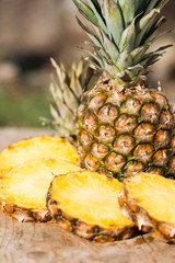 ananas
