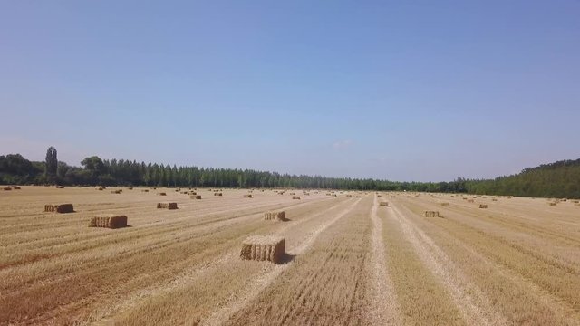 Flying over beautiful field with bale of hay. Aerial drone footage 4k 
