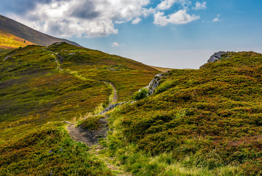 tourists curve path up the hill to the top