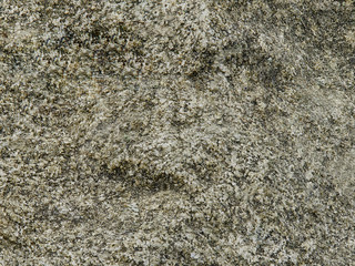 Stone surface closeup