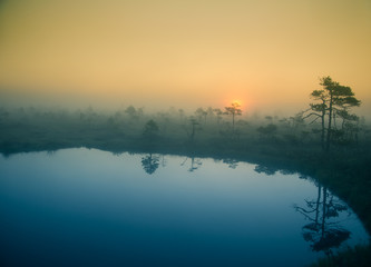 Fototapeta na wymiar A beautiful, dreamy morning scenery of sun rising in a misty swamp. Artistic, colorful landscape photo.
