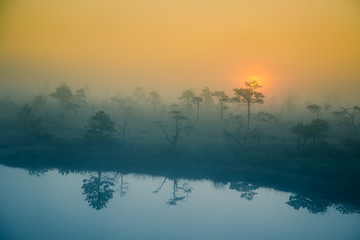 A beautiful, dreamy morning scenery of sun rising in a misty swamp. Artistic, colorful landscape...