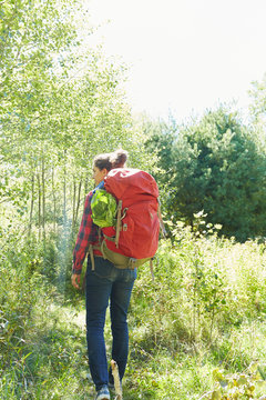 Woman hiking, rear view, Colgate Lake Wild Forest, Catskill Park, New York State, USA