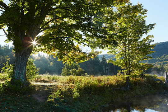 Scenic view, Colgate Lake Wild Forest, Catskill Park, New York State, USA