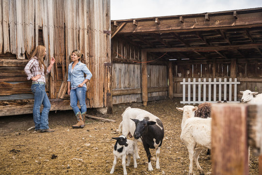 Two young women leaning against ranch barn chatting, Bridger, Montana, USA