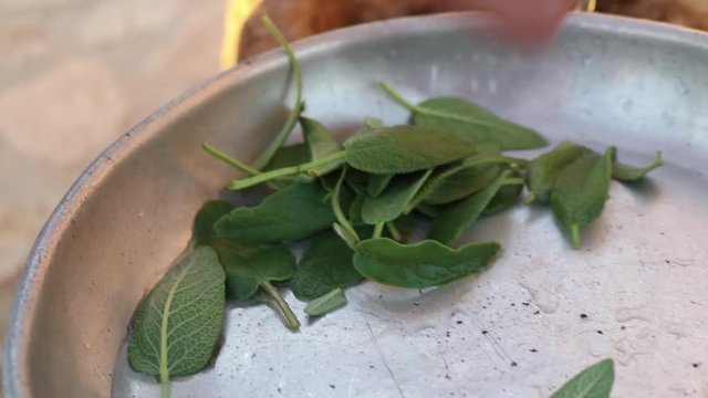 green sage leaves in a silver tinplate