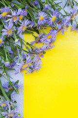 Violet aster flowers frame on yellow and gray background. Top view.