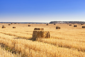 Bales of hay scattered around on field