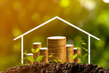 Money growing in soil.