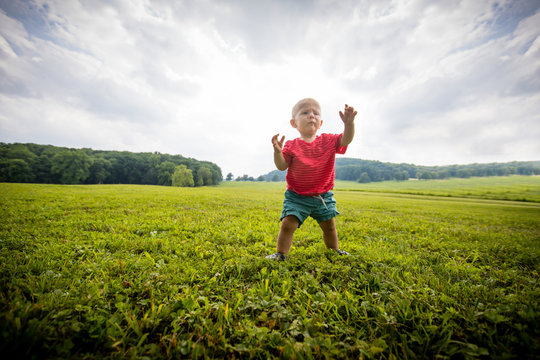 Baby boy toddling in grassy  rural field