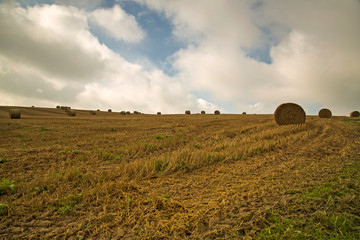 Straw bales countryside