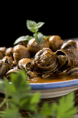 spanish caracoles en salsa, cooked snails in sauce