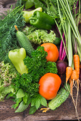 Fresh vegetables close-up. Cucumbers, tomatoes, dill, parsley, mint. Season harvesting.