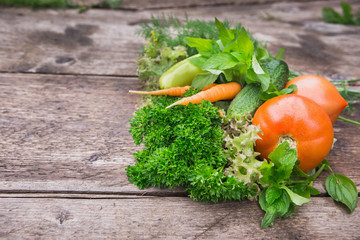 Fresh vegetables close-up. Cucumbers, tomatoes, dill, parsley, mint. Season harvesting.