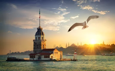 Foto op Plexiglas Turkije Zeemeeuw en Maagdentoren