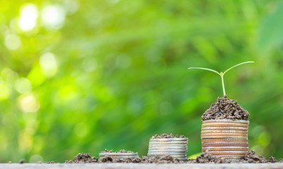 coins stacks on table with tree growing on top, nature background, money, saving and investment concept