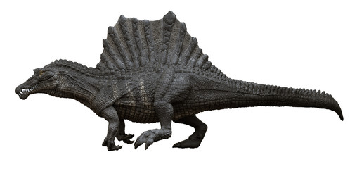 3D rendering of Spinosaurus walking, isolated on a white background.