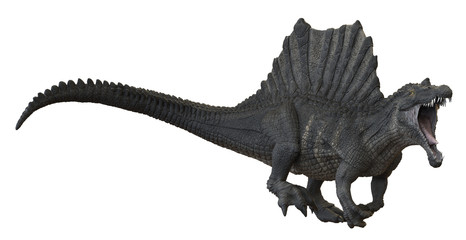 Fototapeta premium 3D rendering of Spinosaurus being aggressive, isolated on a white background.