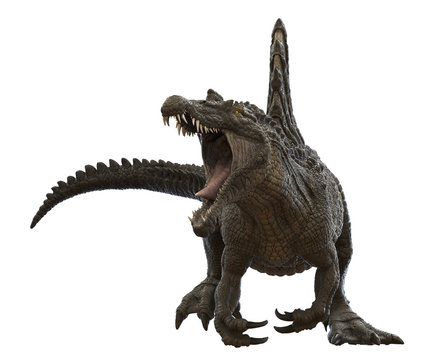 3D rendering of Spinosaurus being aggressive, isolated on a white background.