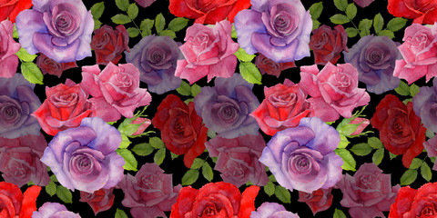 Wildflower rosa flower pattern in a watercolor style. Full name of the plant: roses. Aquarelle wild flower for background, texture, wrapper pattern, frame or border.