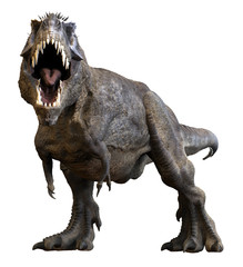 3D rendering of Tyrannosaurus Rex roaring, isolated on a white background.