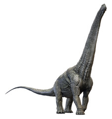 3D rendering of Alamosaurus, isolated on a white background. © Herschel Hoffmeyer