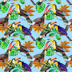 Obraz premium Sky bird toucan pattern in a wildlife by watercolor style. Wild freedom, bird with a flying wings. Aquarelle bird for background, texture, pattern, frame, border or tattoo.