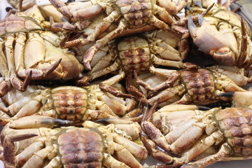 Fresh crabs on the fish market counter.