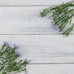 Purple cutter flowers with green branches on white wood background with copy space